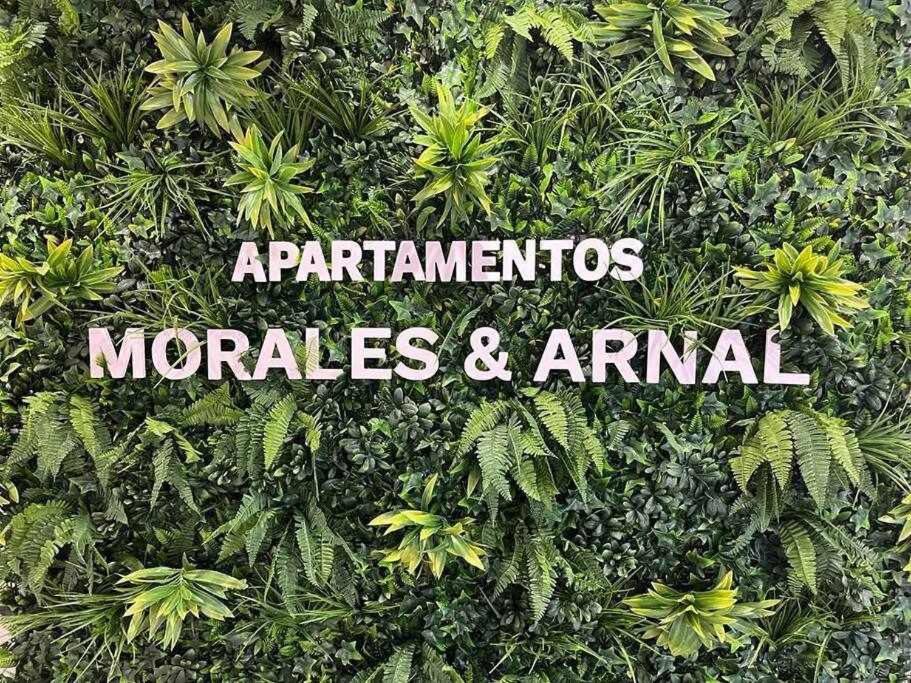 Apartment Xxi E Morales & Arnal *